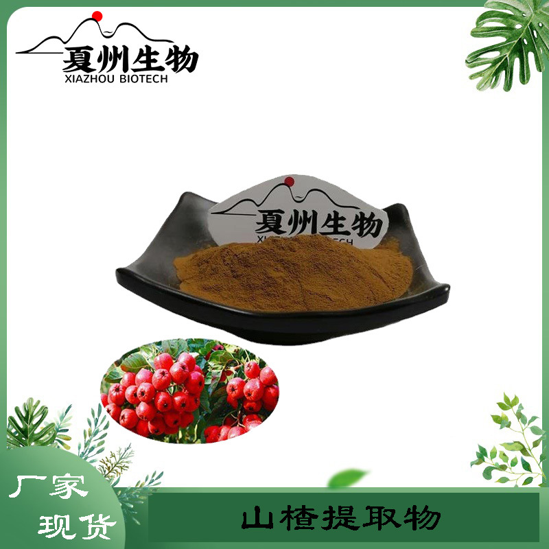 山楂提取物10/20/30/50:1规格 山楂粉  山楂提取原料 欢迎咨询