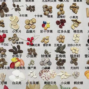 �����������������������ɹ���֦���~ؐ���׃��@�h���ֹ��˱�