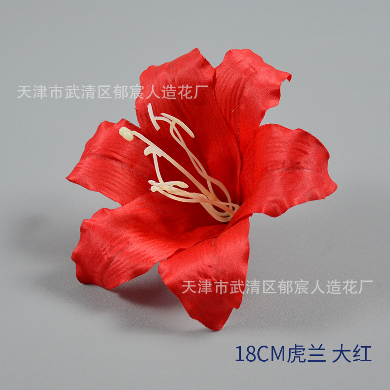 18cm tiger orchid bright red