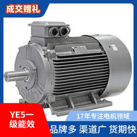 YE5-200L1-6 22KW 山东 华力YE5 电机 一级能效