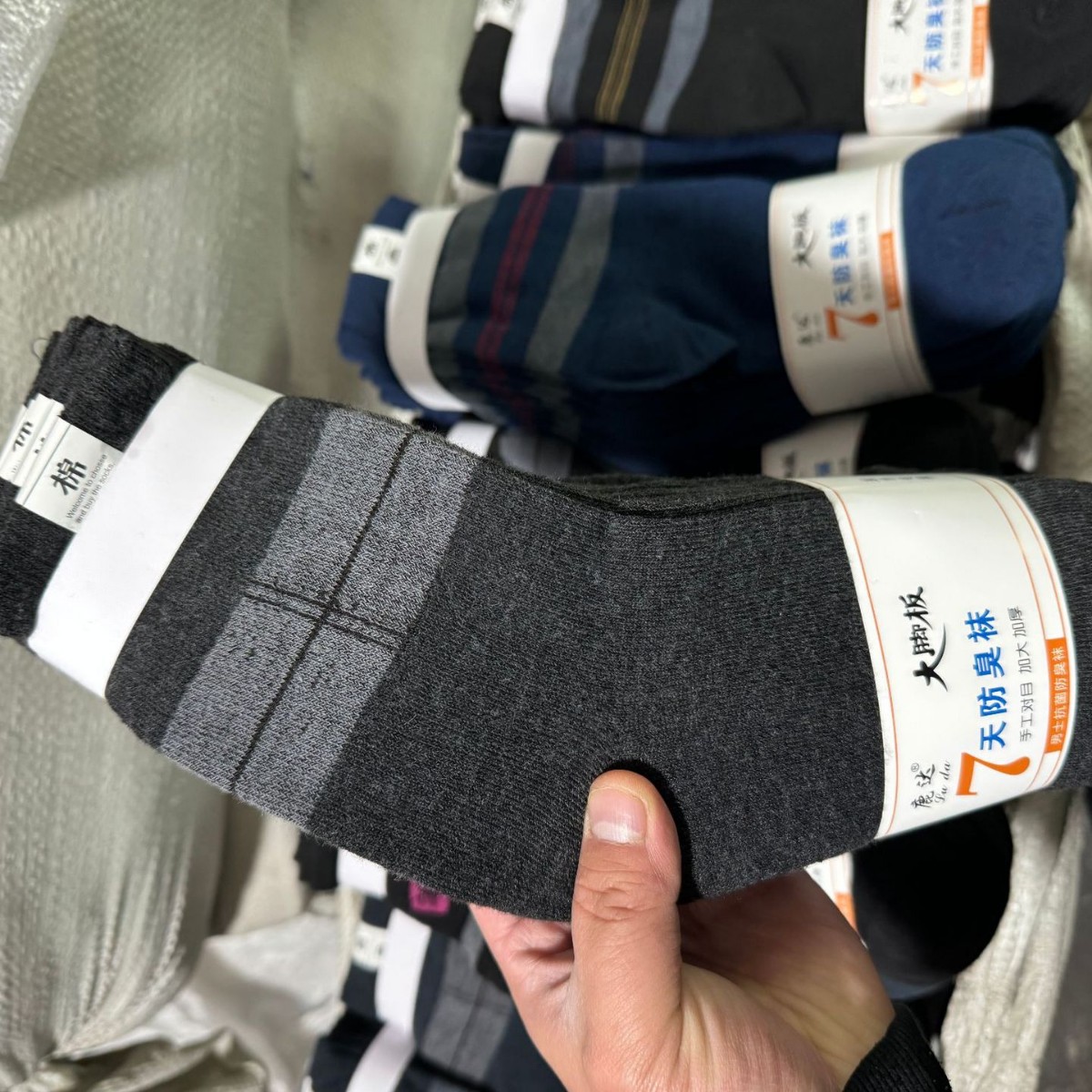 2024-11-19 21:59:40.jpg