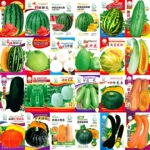 源头厂家批发春季瓜果蔬菜种子彩袋包装菜籽农村赶集菜种子大全