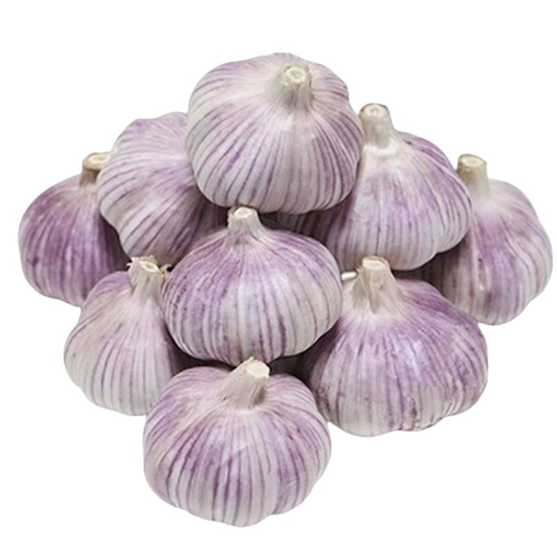 时令农家新鲜蔬菜