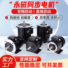 风冷水冷稀土高效永磁同步电机0.55-400KW变频调速375-3000