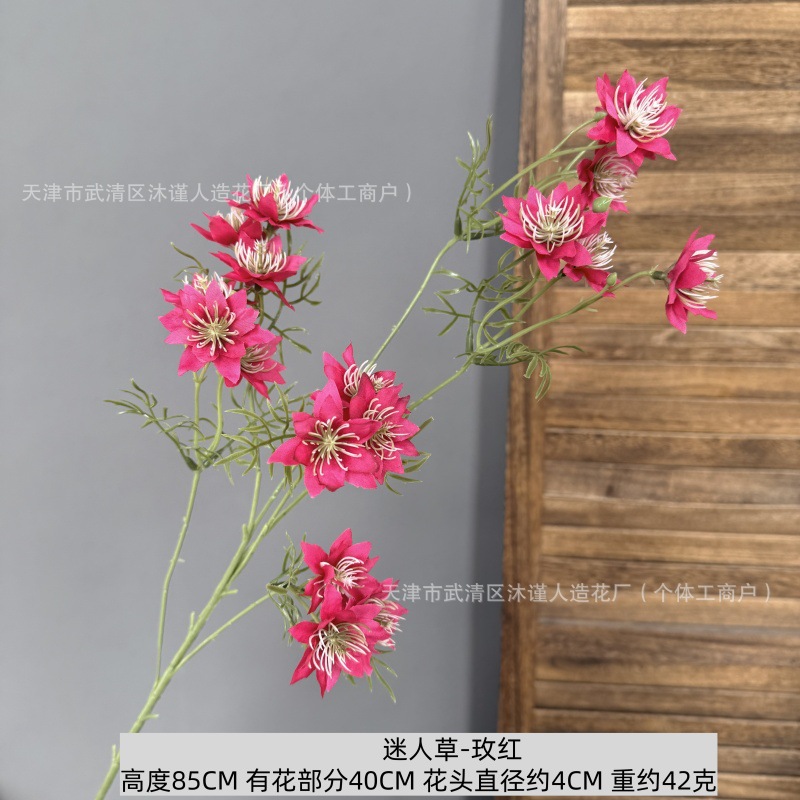 매력적인 풀