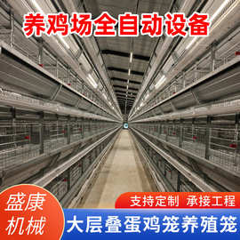 大层叠蛋鸡笼大层叠全自动化蛋鸡笼规模化养殖全自动框架笼蛋鸡笼