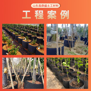 ??�ظ�����͹������廨��@�����؇����ظ�����Ӻ����Ϻ���