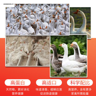 ��80���Z���ι�ZС�Z�_�����Z�����w��ȫ�r���Bֳ������