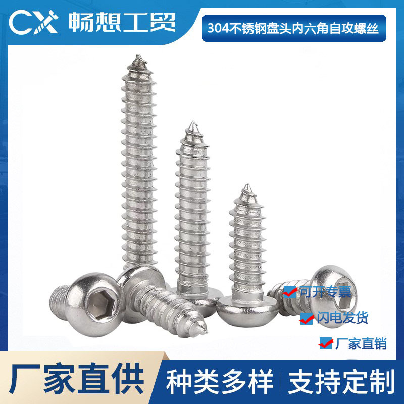 供应不锈钢304自攻尖尾防盗螺钉 内六角槽螺丝盘头高强度自攻螺钉