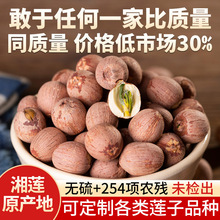 湘潭红莲子干货带芯湖南湘莲连子干货无硫新货莲子批发带心500克