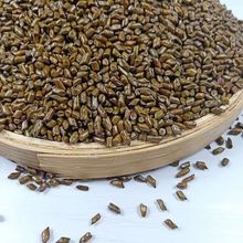 宁夏决明子500g纯生决明子草决明子泡茶散装可配菊花牛蒡根精品