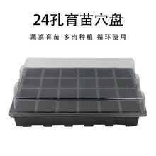 ���R�d�羳�����24������PѨ�P�������߲˲�ݮ������@ˇ��Ʒ