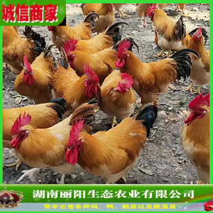 �������S���u������w��të���u���r����B�������_���u������u