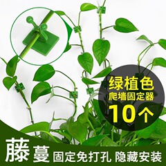 緑のロリは神器に登って壁に登ります。