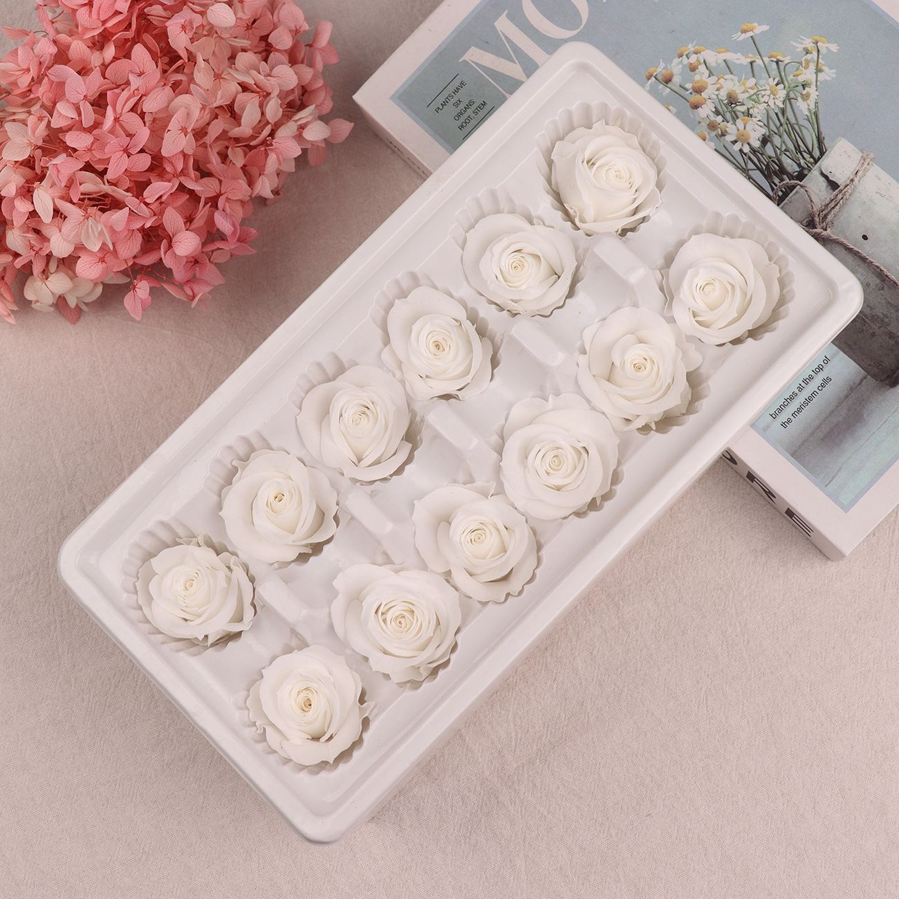 Cabezas de Rosa Eternas A+, 3-4 cm, 12 Piezas, Materiales para Manualidades Florales, Caja de Regalo, Fabricante, Venta al por Mayor