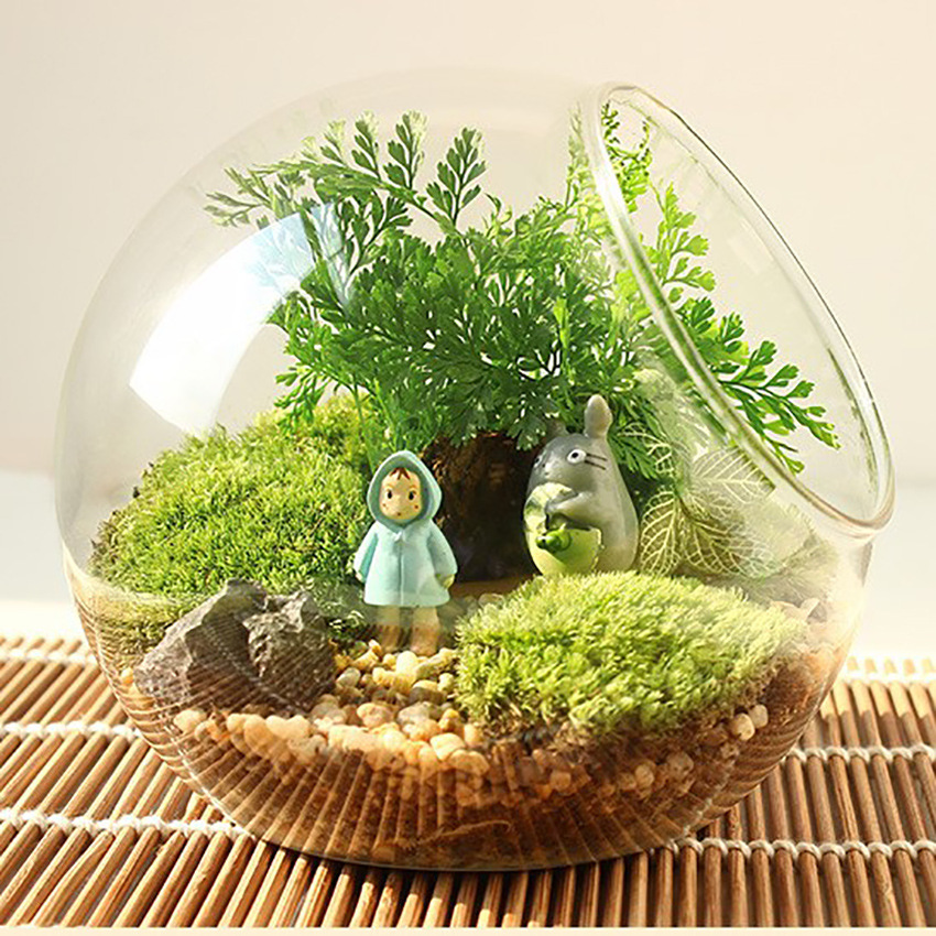 批发微景观玻璃容器斜口花瓶桌面苔藓生态瓶多肉水培器皿造景摆件