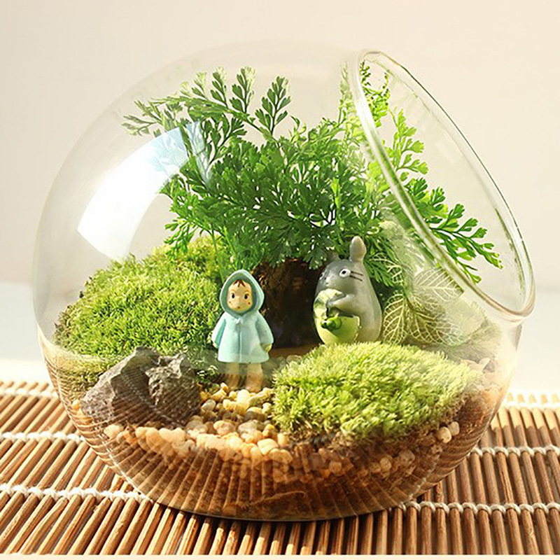 【Factory Direct Sale】Moss Micro-Landscape Ecological Bottle Desktop Ornament Slanted Glass Vase Small Flower Pot