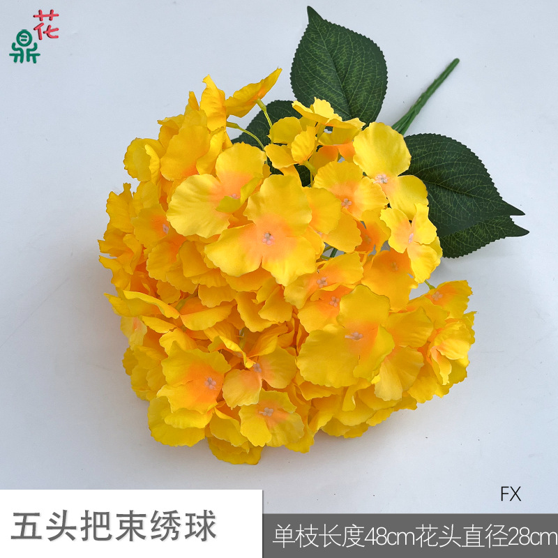 Five -headed hydrangea FX (two groups of leaves) orange