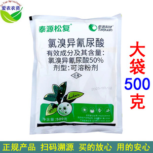 500�� ̩Դ�ɏ�50%���宐�����������讐���� ���ݲ�����������