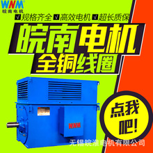 皖南电机Y系列中型高压高效三相异步电动机90kw110kw132kw160kw