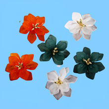 2025�W���r���F�����Զ�ᔳ��ɻ��仨����h�r����Ů�������߼���