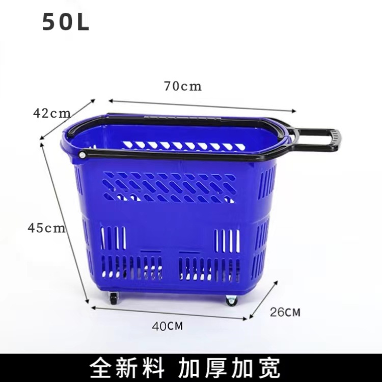 대형 50L 로드 블루