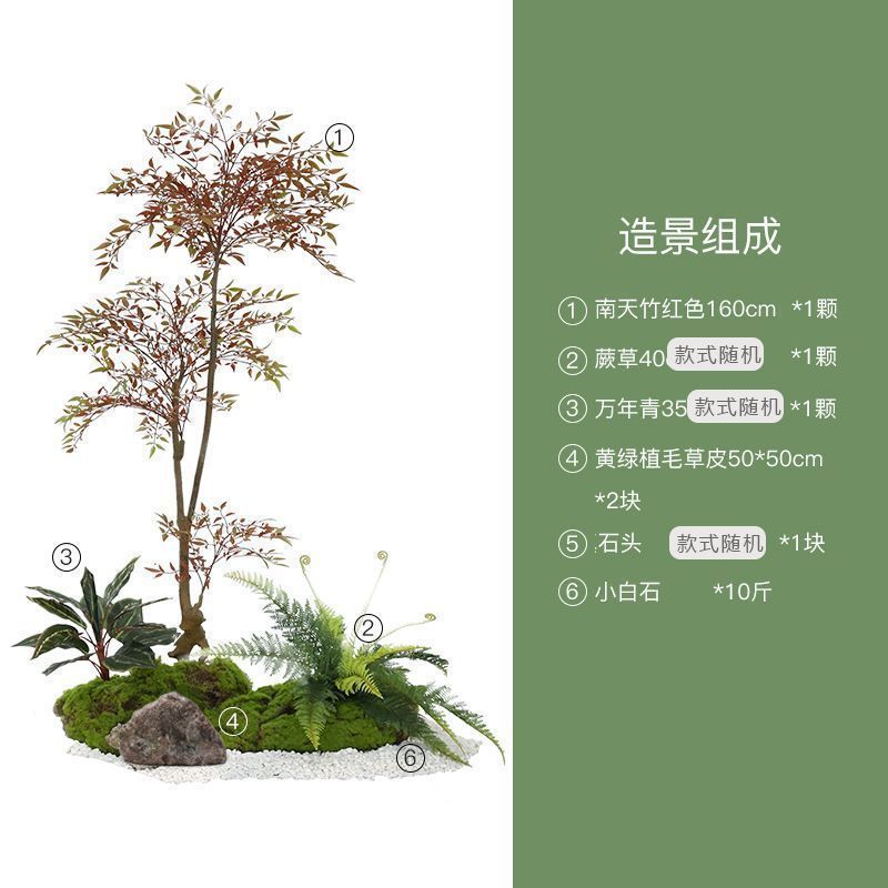 南天竹造園緑植物屋内階段下景観植物床置き鉢植えモデルルーム装飾|undefined