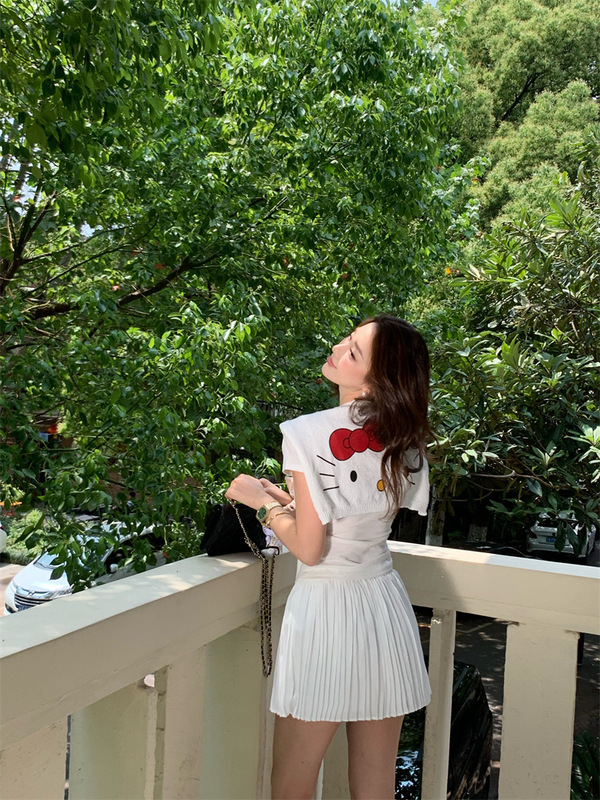 Korean Casual Kitty Embroidered Thin Knitted Shawl for Women Summer New Outer Wear with Skirt T-Shirt Waistcoat Top