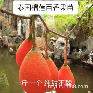 ��Ʒ��ɏ�����������ļ������Ϸ�����Y���u����������̨����