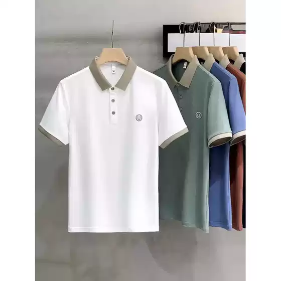 2025 new casual lapel embroidered polo shirt men's short sleeved t-shirt summer breathable t-shirt Paul shirt men