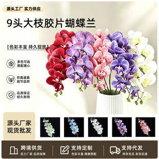 ���l�����m���滨�羳3D��ӡ�ָмٻ���Y��ˇ�Ҿ��b�����