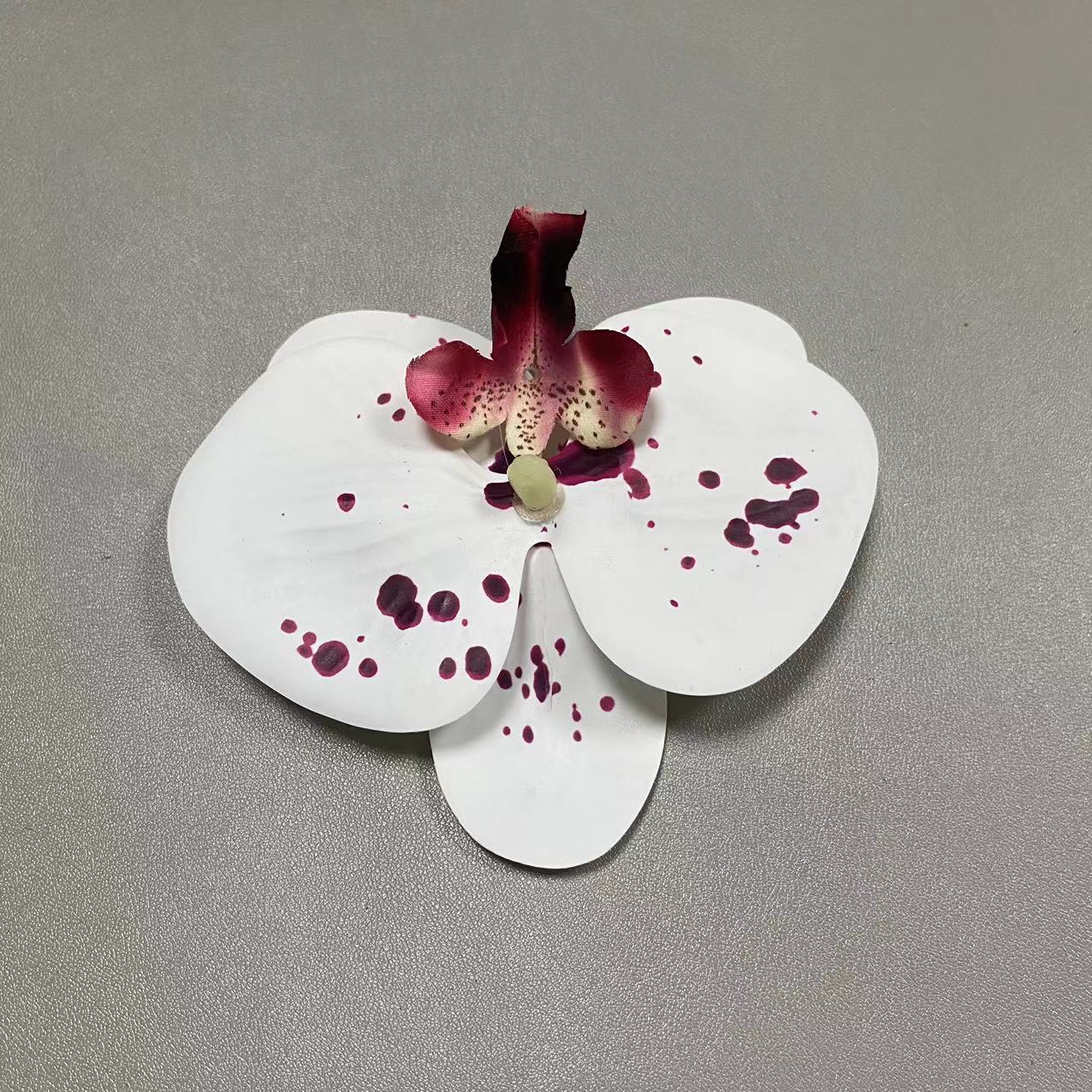 61호