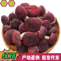 【シイタケ】雲南特産品正シイタケシイタケシイタケシイタケシイタケ月子シイタケキノコ乾燥品卸売り代発
