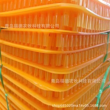 ĸuaĸC| 12ѨϮa݉| ĸuaϲ݉|