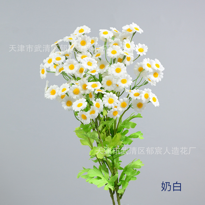 カモミールの単枝30輪の花が国境を越えて起爆した家庭の客間に小さなデイジーベランダの小さな清新な装飾を配置することをシミュレーションした|undefined