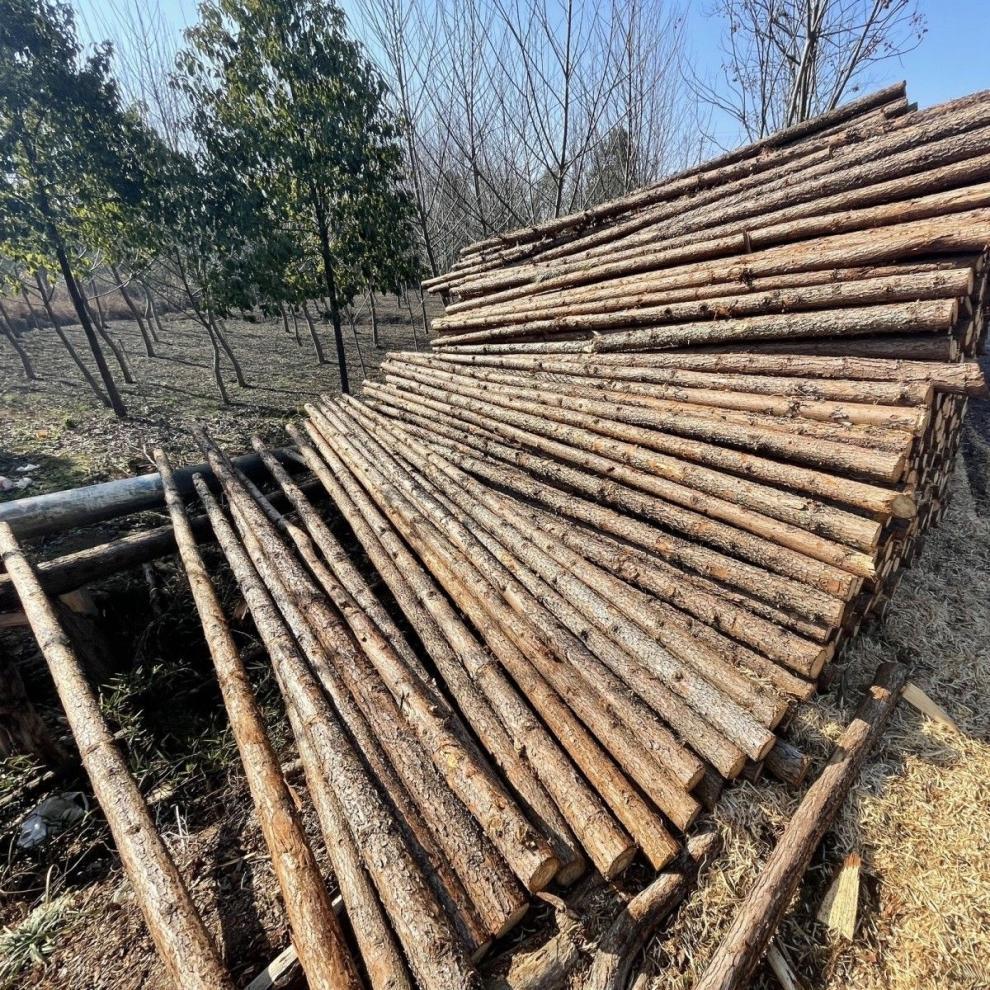 59873632-f451-442c-9798-84631fdfb6af.jpe