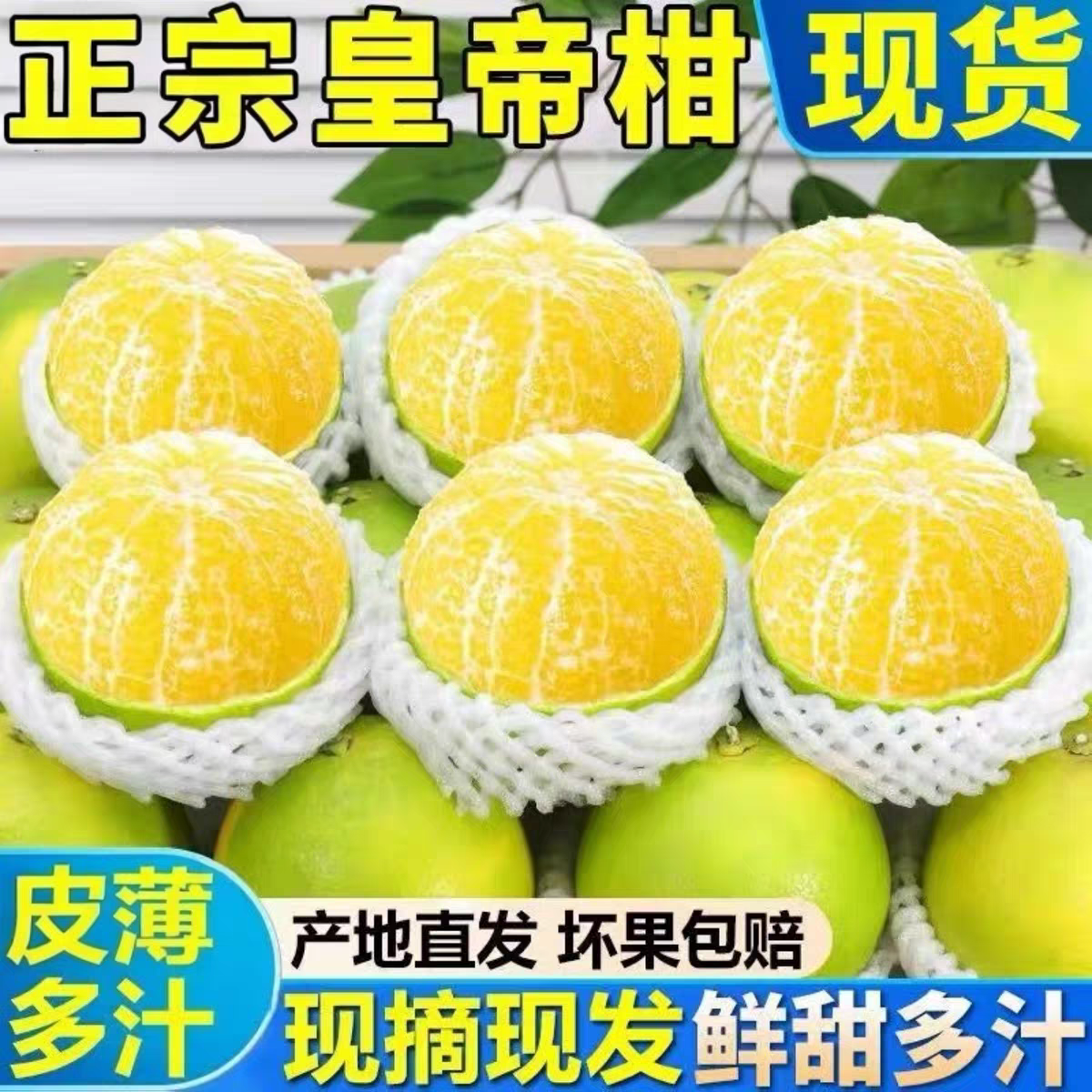 正宗皇帝柑大果橘子5斤新鲜水果孕妇水果老桔子德庆贡柑皮薄多汁9