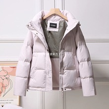 2025�����¿��Z�q��q��Ů��Óжñ�����e��ů������Ӻ�����