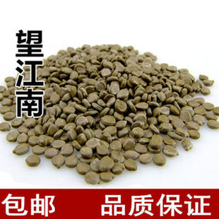 ��ș�� ���������������ӷN�� ��Ƕ����϶� ɽ�G��