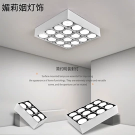 其他室内灯具;筒灯