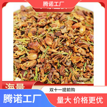 ���S���l�°ؚ���؛Ұ��ɢ�b���њ����^����מ��l�ٰ��^�Ȱػ���