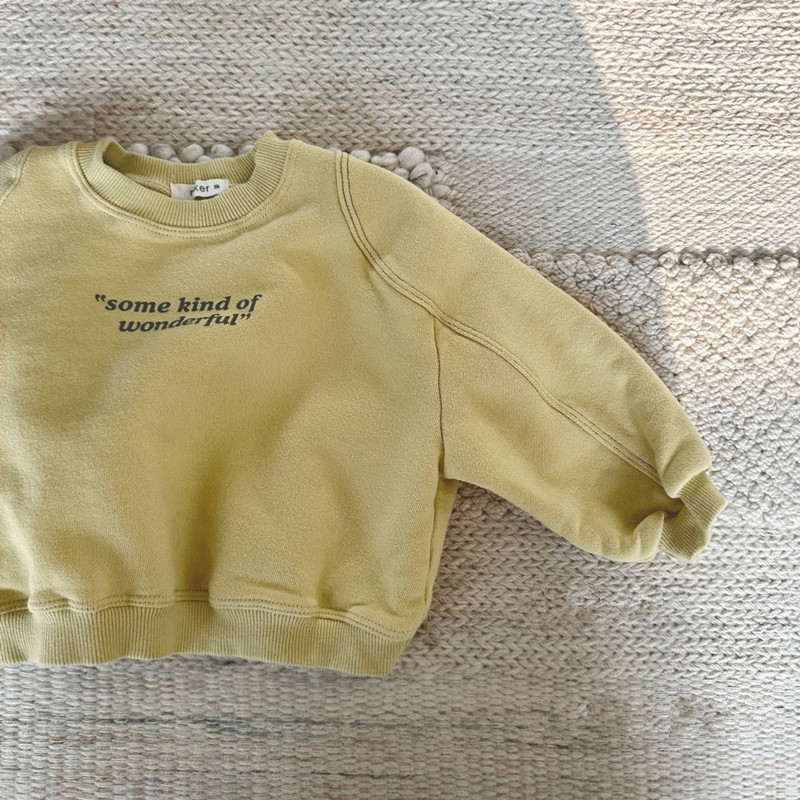 Ropa de primavera para bebés y niños pequeños, ropa infantil de estilo coreano, sudaderas de manga larga para bebés, camisetas con letras para bebés, ropa de primavera, jerseys para niños