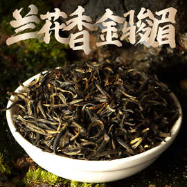 明前新春茶桐木关兰花香金骏眉红茶散装批发武夷山高山金俊眉茶叶