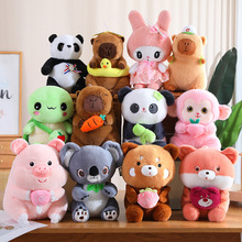 �ɐ�ë�q������ż���l�W�t��ͨ��؈�����i�����ރ�ͯ�Y��≺���