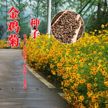 ���l���u�շN�ӻ��ܷN�ӽ��u�ջ��N���u�շN�Ѷ��������Ѿջ��N��