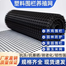 塑料网格养殖网围栏网鱼塘防护圈玉米拦鸡网家用隔离户外围栏栅栏