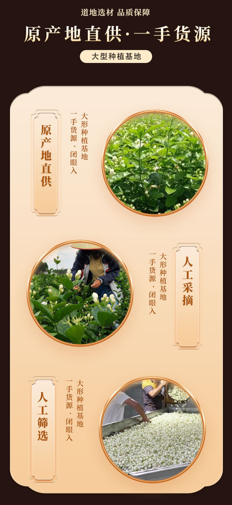 Dried Jasmine Flowers 500g Mo Li Hua Herbal Tea Loose Blossoms for Infusions and Culinary Use key features