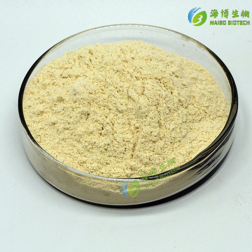 Branched Pine Pollen 98% Branched Rate Pine Pollen, Hai Bo Biology, Bulk Purchase Advantage