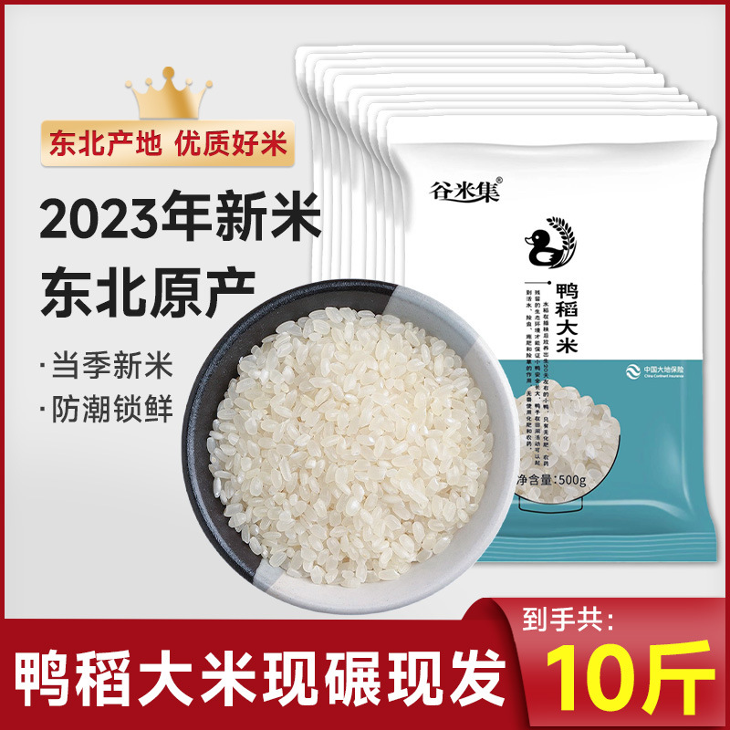 동북둥근오리쌀 - 5kg - 향이 좋고 밥이나 죽으로 먹을 수 있음