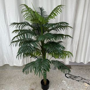 ���l����Gֲ ��ֲ���b�ɢβ���Ž����˽��쾰���Ԏ�������Gֲ